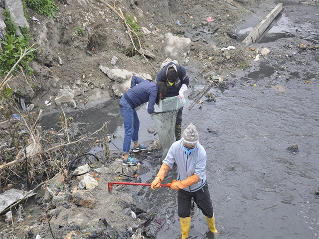 A Research Report on Aquatic Animals of Bagmati River, Kathmandu, Nepal